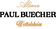 logotype_site
